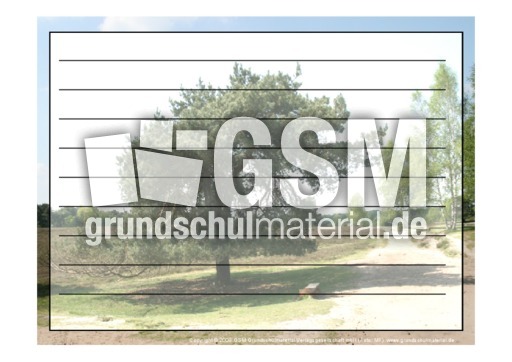 Foto-Schmuckblatt-Bäume-8.pdf